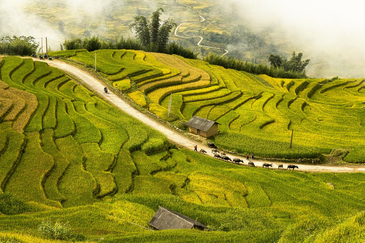 Một ngày ở Y Tý có gì thú vị?