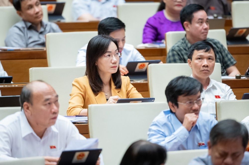 Ý kiến của đại biểu gợi mở cho Chính phủ nhiều giải pháp