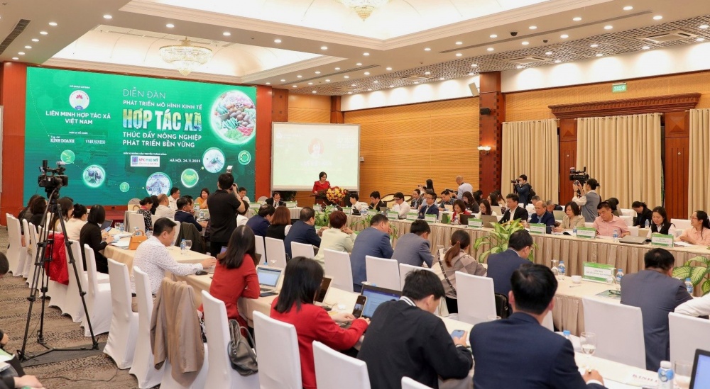 5 cơ hội phát triển cho các hợp tác xã khi chuyển đổi xanh 5 cơ hội phát triển cho các hợp tác xã khi chuyển đổi xanh