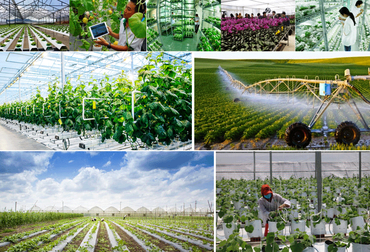 5 cơ hội phát triển cho các hợp tác xã khi chuyển đổi xanh 5 cơ hội phát triển cho các hợp tác xã khi chuyển đổi xanh