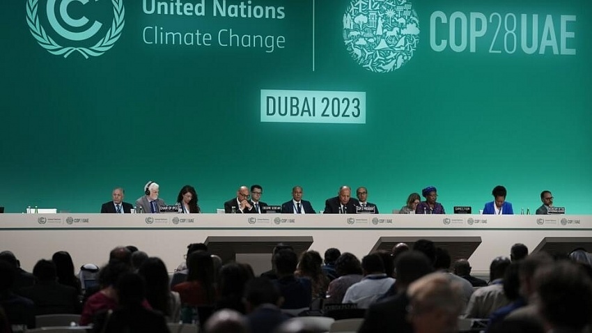 OPEC tổ chức 