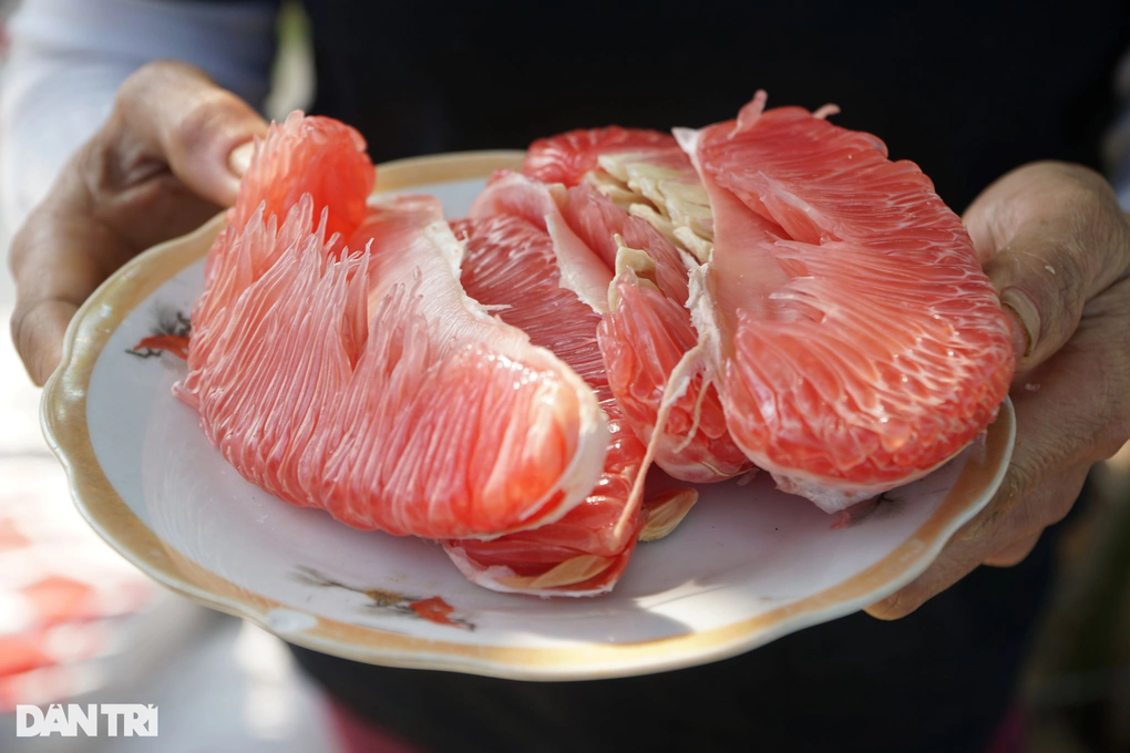 Cặp vợ chồng kiếm 200 triệu đồng vụ tết nhờ giống bưởi tiến vua - 4