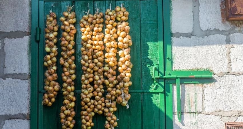 Ấn tượng những phong tục đón năm mới độc đáo trên thế giới