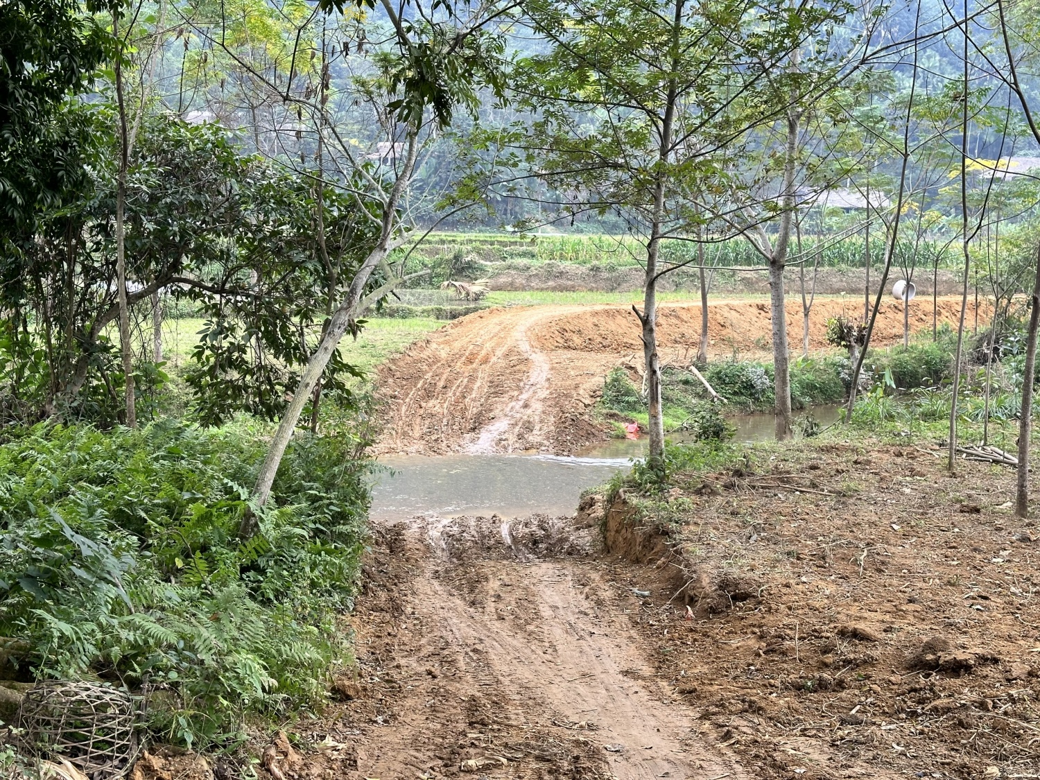 BIENDONG POC tài trợ xây dựng cầu, đường dân sinh tại Hà Giang