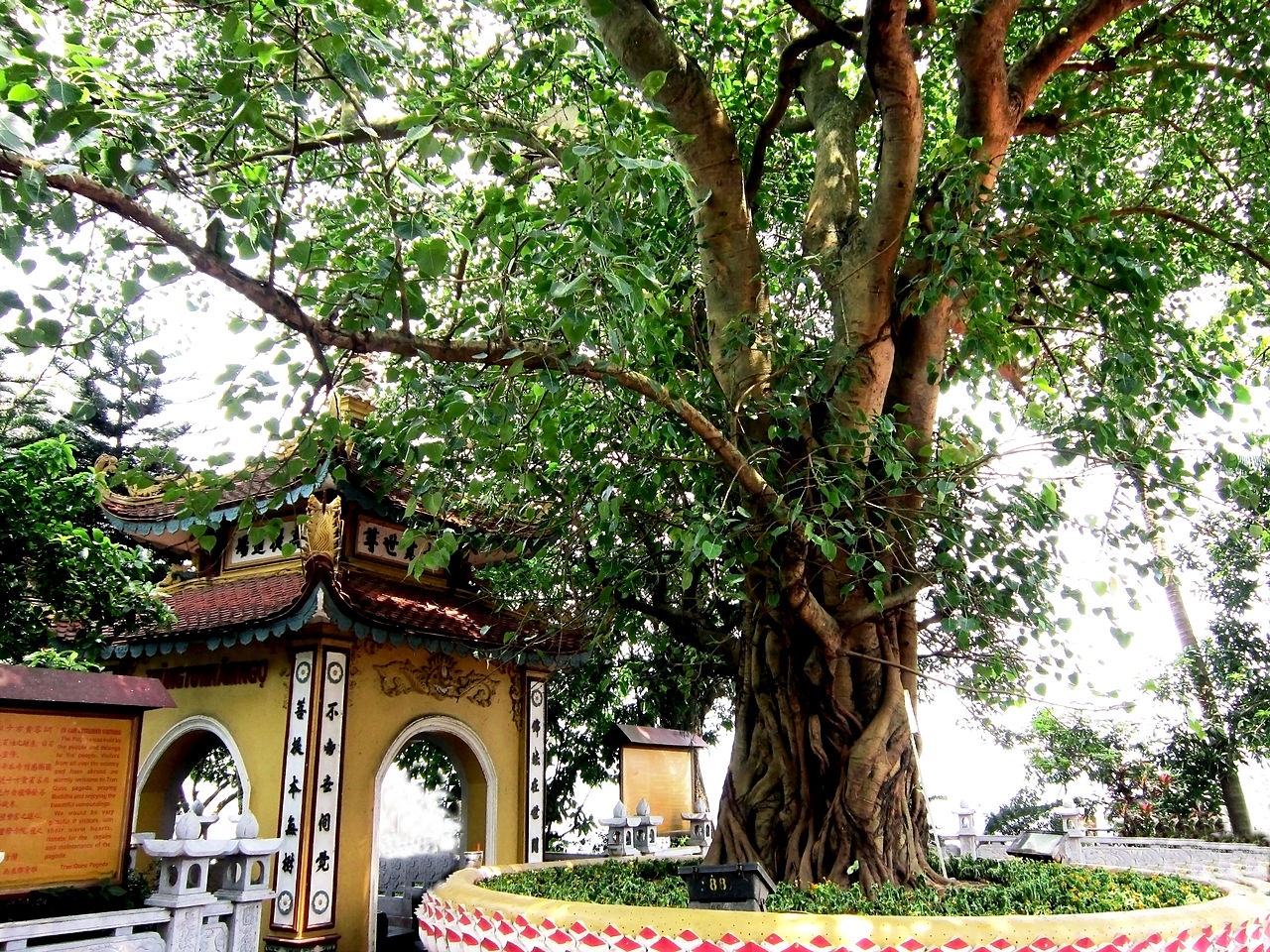 Trấn Quốc - Cổ tự linh thiêng bên Hồ Tây thơ mộng