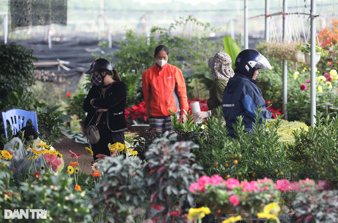 Khách mua hoa nườm nượp từ sáng sớm tại chợ hoa Mê Linh.