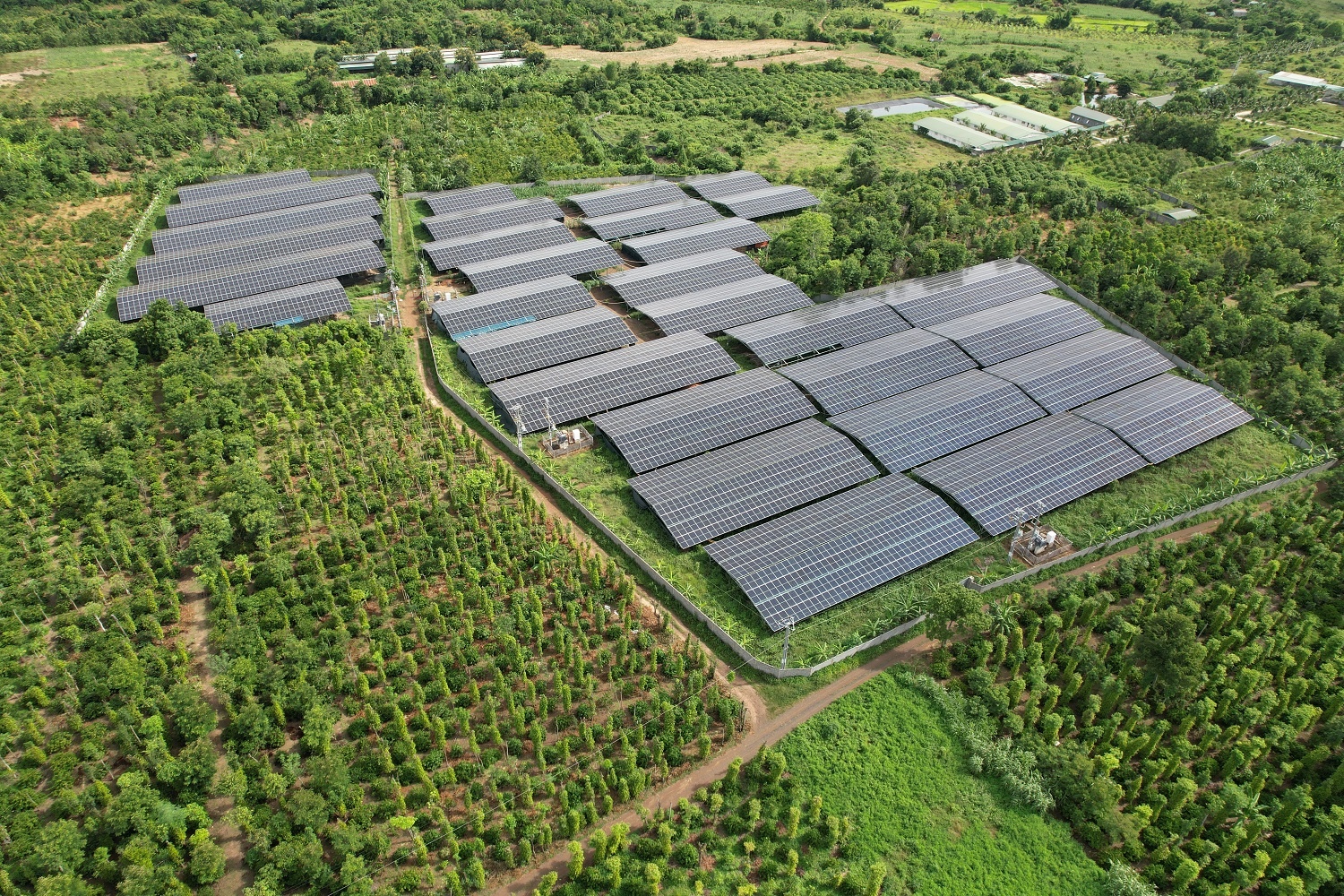 Vì sao Đắk Lắk thu hồi 13,2 ha đất của dự án điện mặt trời Xuân Thiện? Vì sao Đắk Lắk thu hồi 13,2 ha đất của dự án điện mặt trời Xuân Thiện?
