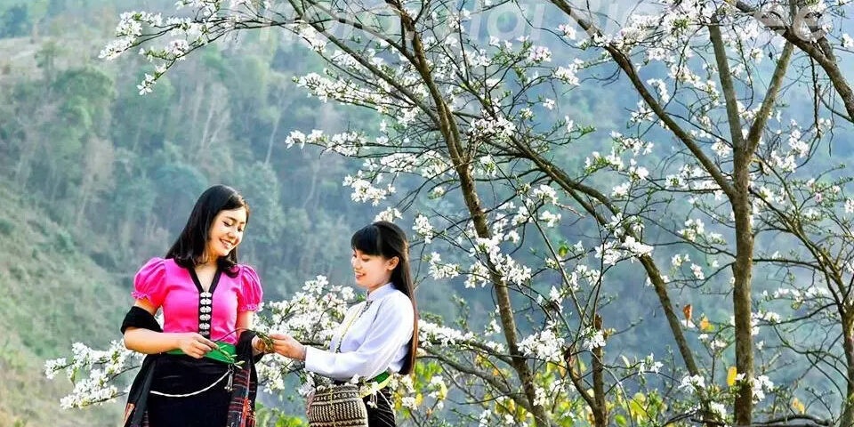 Lễ hội Hoa Ban 2024: Góp phần quảng bá du lịch