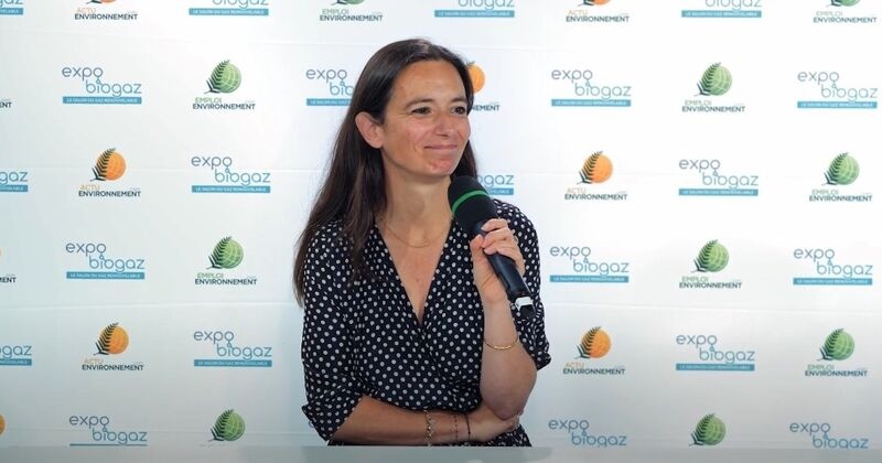 Chống biến đổi khí hậu: Cơ hội làm giàu