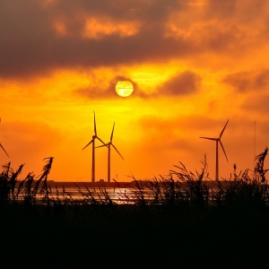 Chống biến đổi khí hậu: Cơ hội làm giàu