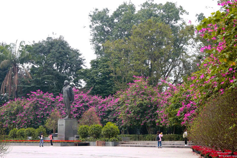 Thơ mộng sắc hoa tháng Ba