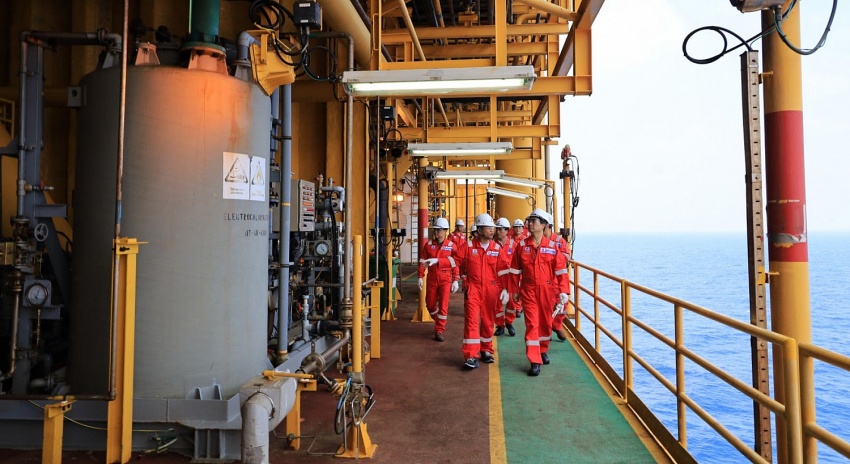 Xuân mới trên Hải Thạch - Mộc Tinh