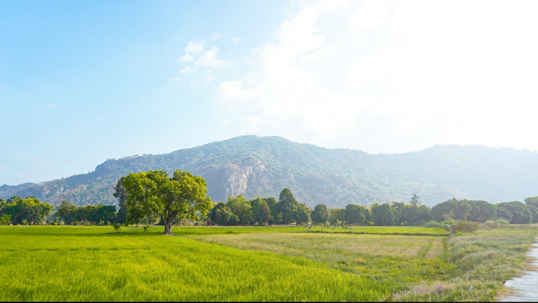 Say đắm vẻ đẹp mơ màng của vùng đất Tri Tôn, An Giang