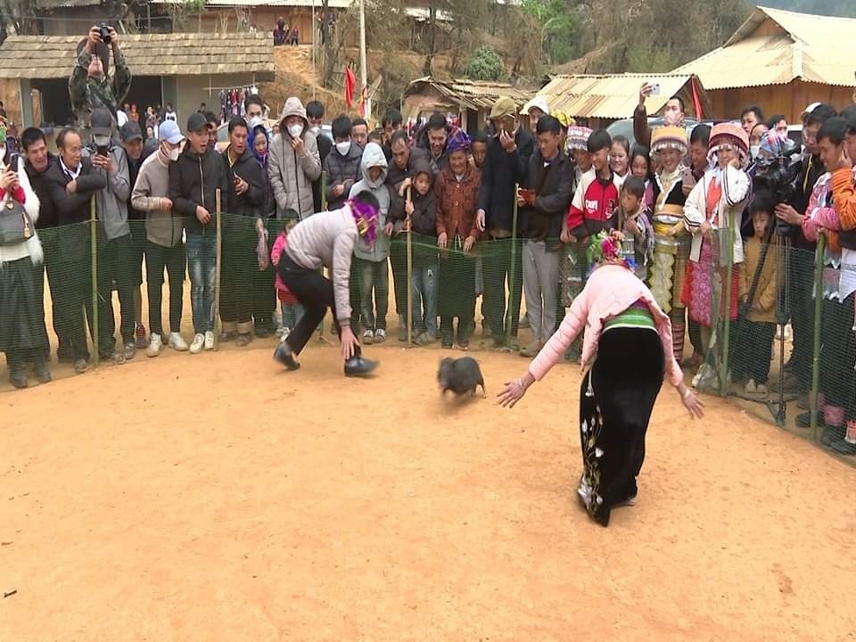 Mùa hoa sơn tra nở trắng rừng đẹp như ở miền cổ tích
