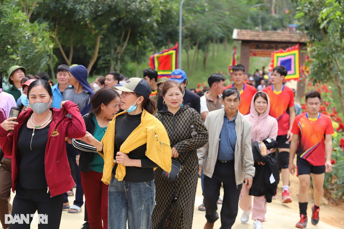 Con đường hoa gạo đẹp hiếm có ở Nghệ An