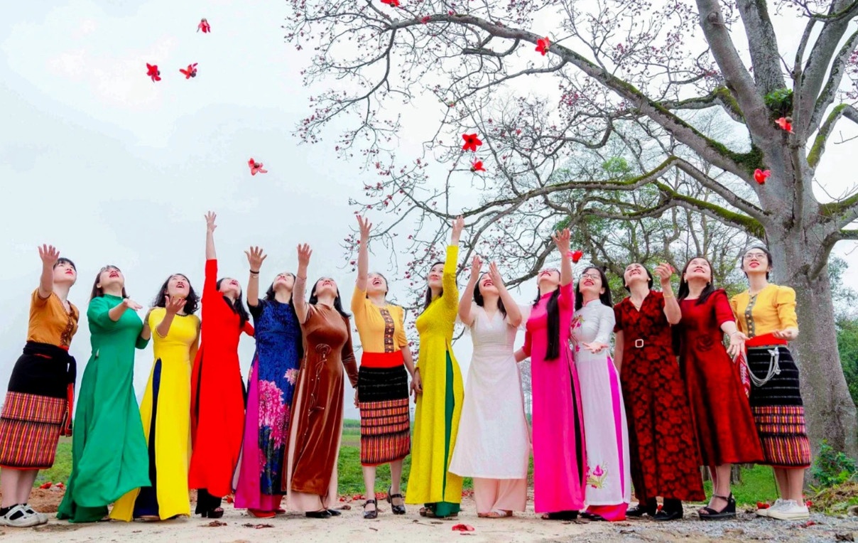 Con đường hoa gạo đẹp hiếm có ở Nghệ An