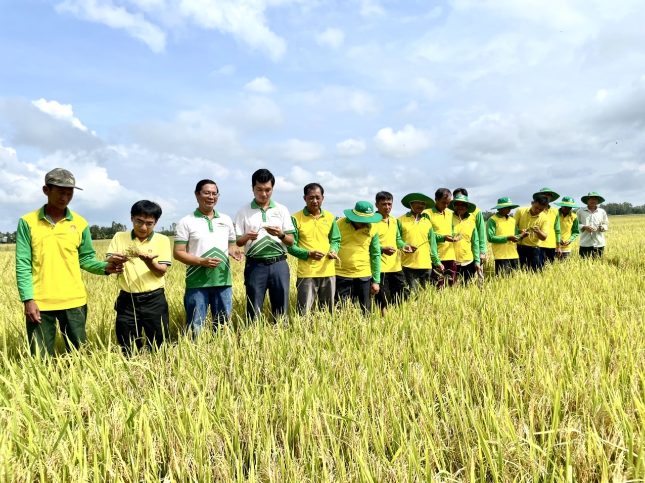 Phân bón Cà Mau - Doanh nghiệp Hàng Việt Nam chất lượng cao trước chặng đường phát triển mới
