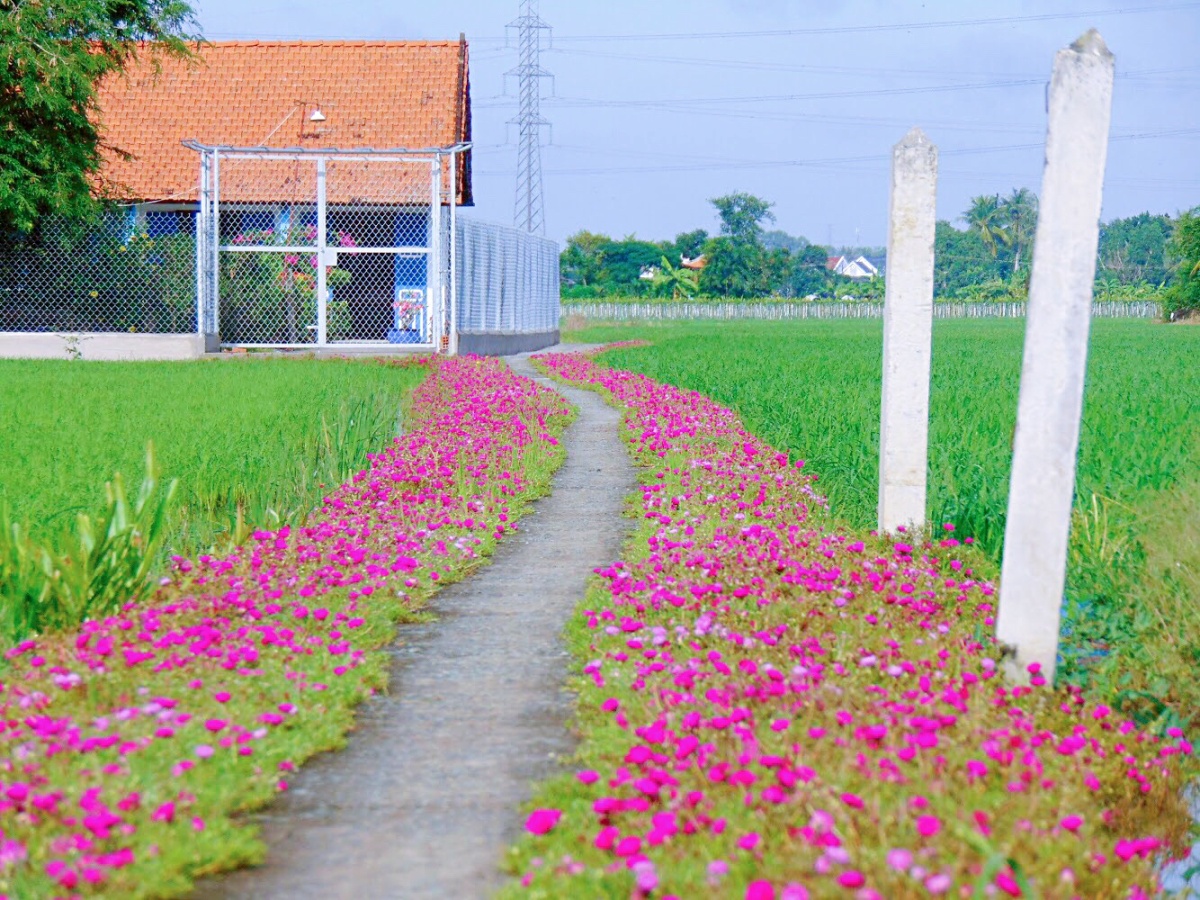Check-in những 
