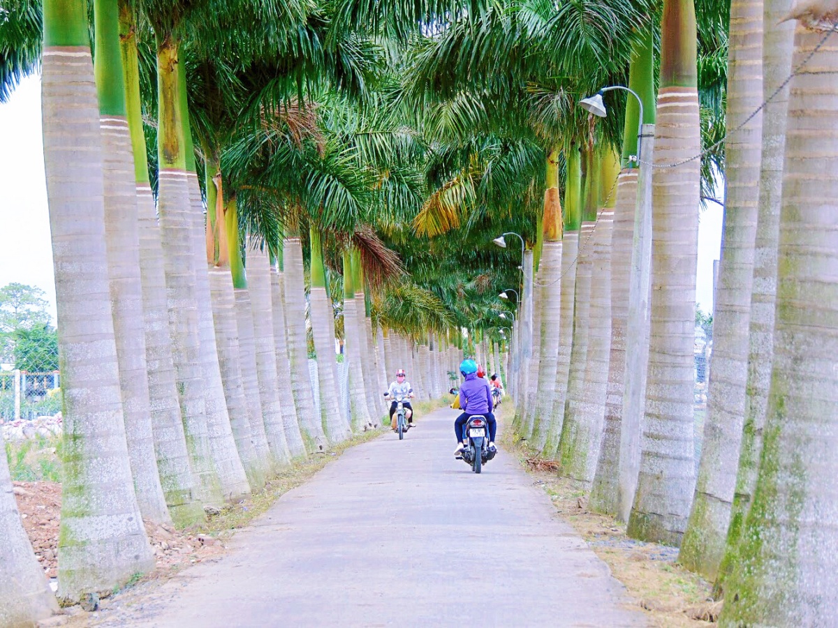 Check-in những 