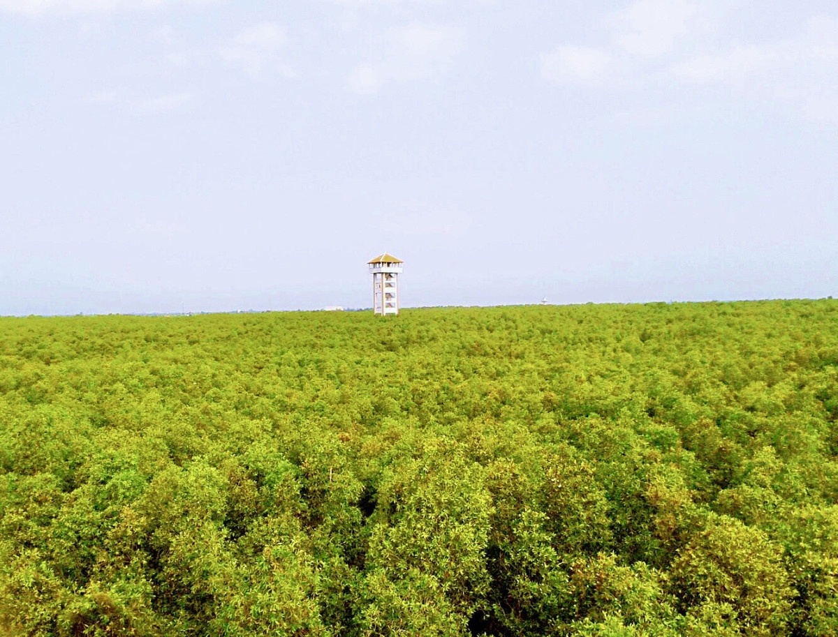 Check-in những 