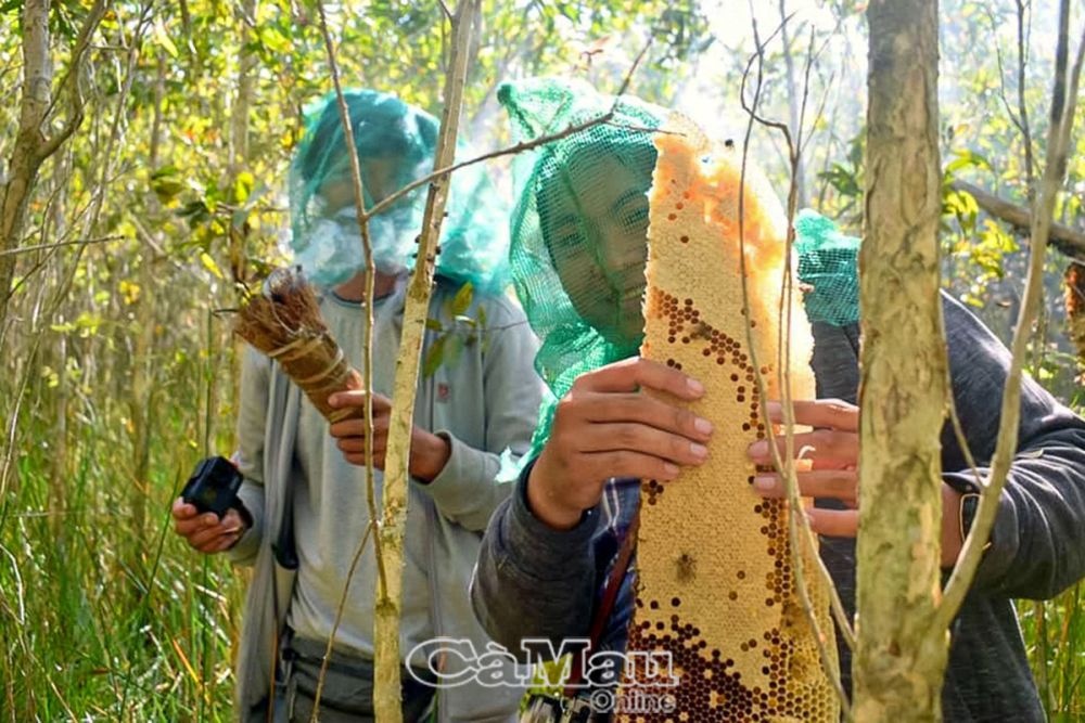 Về Cà Mau du lịch trải nghiệm Về Cà Mau du lịch trải nghiệm
