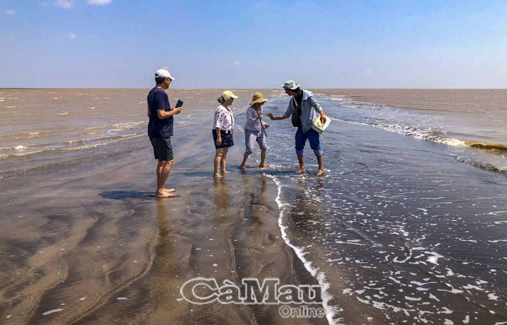 Về Cà Mau du lịch trải nghiệm Về Cà Mau du lịch trải nghiệm