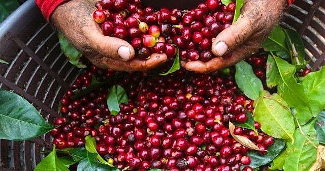 Tin tức kinh tế ngày 2/4: Lợi nhuận ngân hàng dự báo tăng mạnh trong quý 1