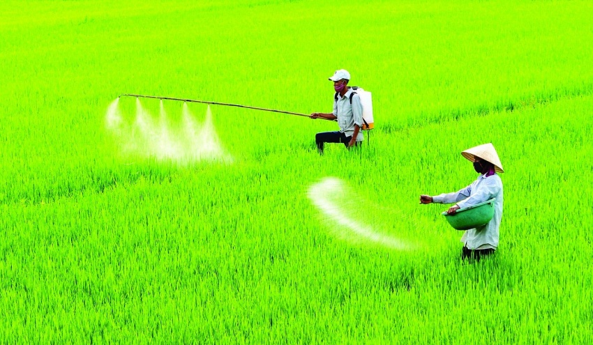 Kỳ I: Bất cập của Luật thuế 71