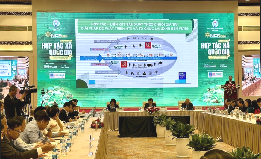 Phát triển bền vững chuỗi giá trị từ đầu tư liên kết hợp tác xã Phát triển bền vững chuỗi giá trị từ đầu tư liên kết hợp tác xã