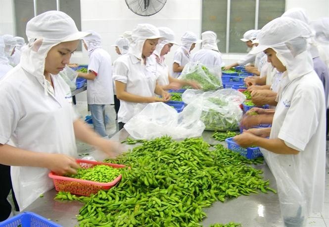 Tin tức kinh tế ngày 18/5: Xuất khẩu rau quả cao kỷ lục