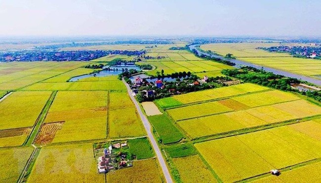 Tin bất động sản ngày 22/5: Vĩnh Phúc yêu cầu thu hồi hơn 2.000m2 