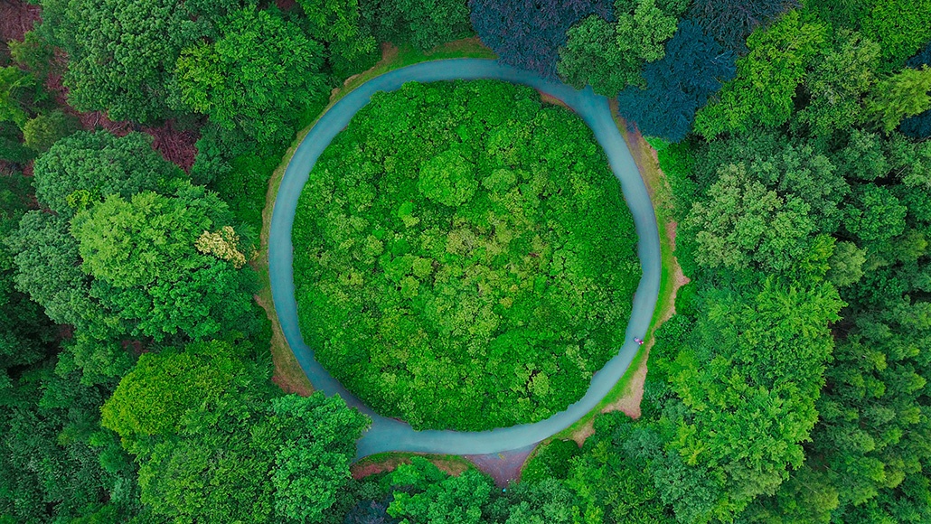 Hiện tại và tương lai của nền kinh tế tuần hoàn ở châu Âu (Kỳ 1)