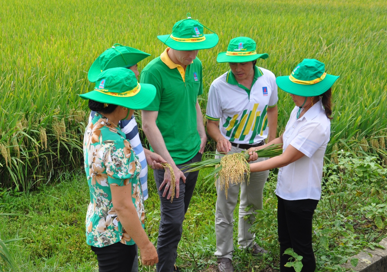 Đã đến lúc không thể không sửa đổi Luật 71