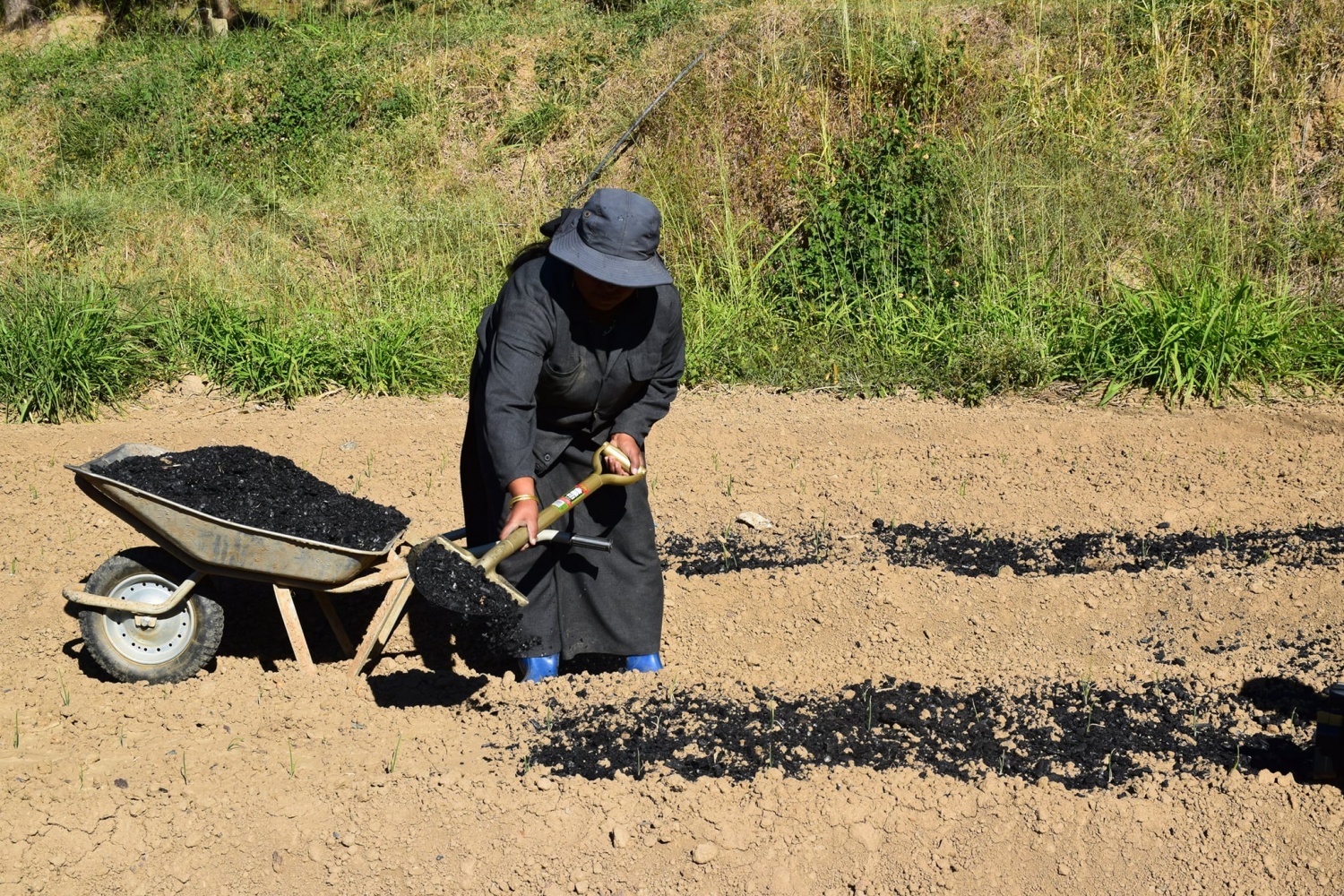 Mô hình lưu trữ carbon mới với các nước đang phát triển
