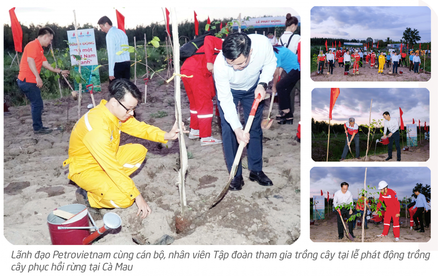 [P Magazine] Petrovietnam phát triển kinh tế xanh bền vững hóa ngành năng lượng