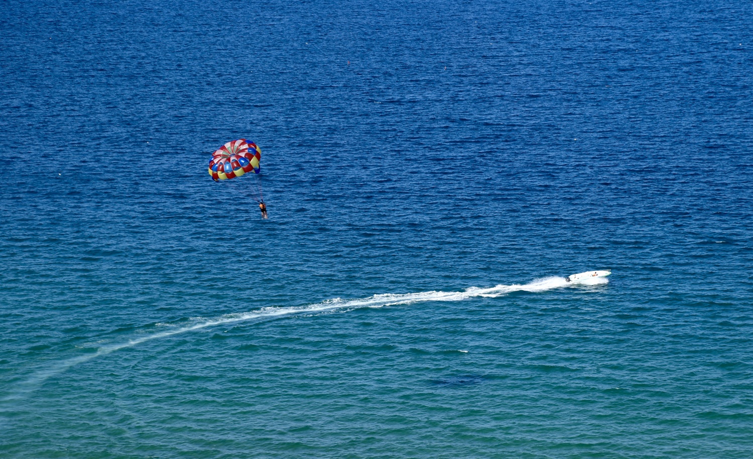 Độc đáo dù lượn giữa biển trời ở độ cao gần 100m