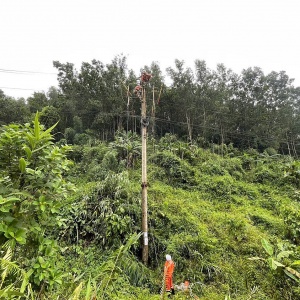 EVNCPC sẽ hỗ trợ EVNNPC khắc phục sự cố lưới điện do bão số 3