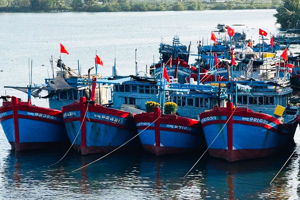 Quảng Ngãi: Hàng trăm tàu cá 