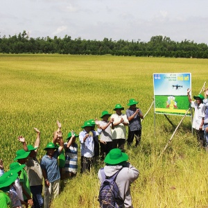 PVFCCo đưa công nghệ mới vào sản xuất nông nghiệp