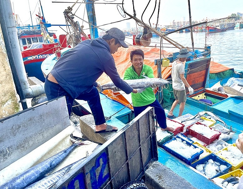 Quảng Nam hoàn thành xóa tàu cá 