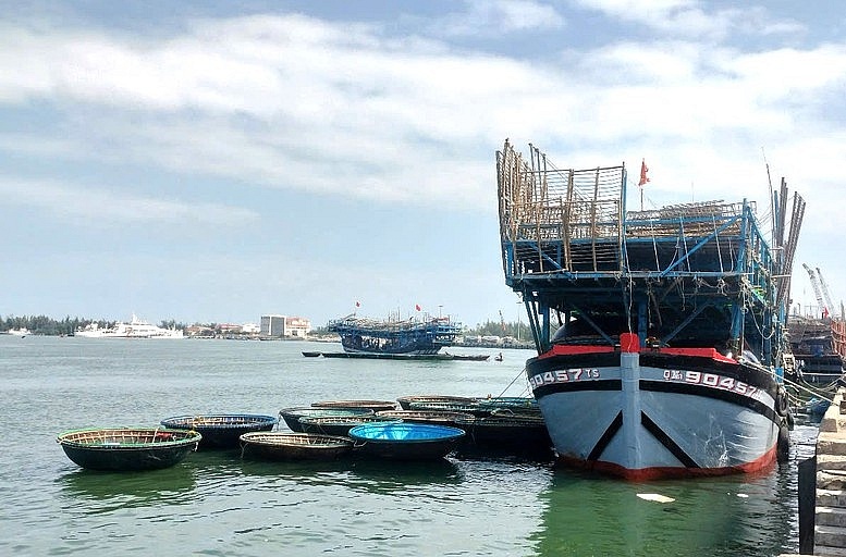 Quảng Nam hoàn thành xóa tàu cá 