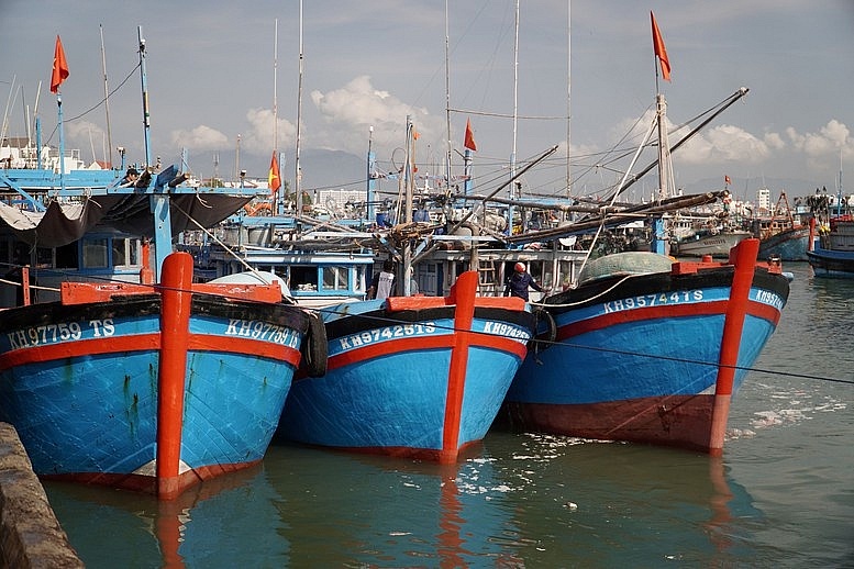 Khánh Hòa: Không cho xuất bến các tàu cá không đủ điều kiện