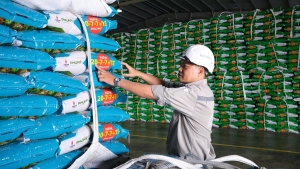 Phú Mỹ dự kiến chia cổ tức 15% bằng tiền mặt và phát hành gần 74% cổ phiếu mới