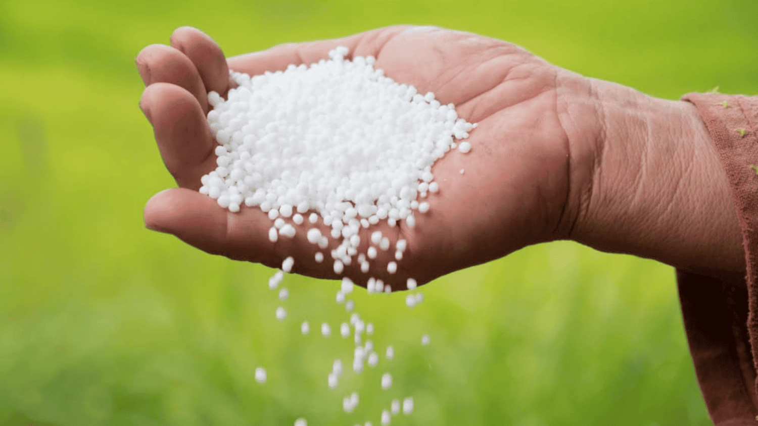 Petrovietnam: Vững vàng vai trò đảm bảo an ninh lương thực quốc gia