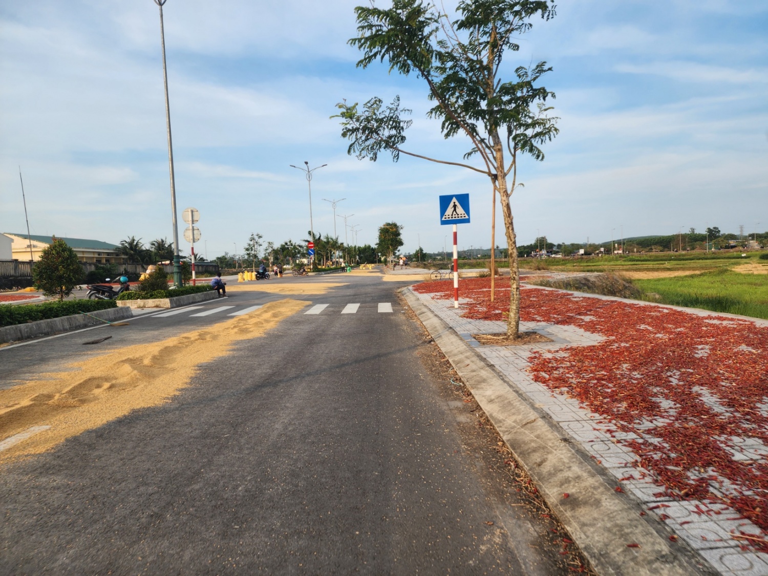Quảng Ngãi: Tuyến đường hơn 30 tỷ thành... nơi phơi lúa