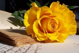Tử vi tuần mới (12-18/5/2025): Tuổi Tý phát triển rực rỡ, tuổi Ngọ khẳng định tài năng