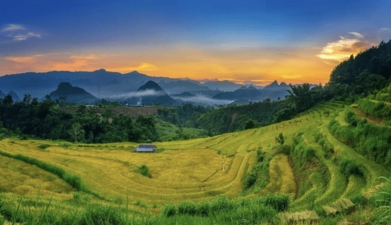 Điểm tin xây dựng - bất động sản ngày 20/5: Thị trường nhà ở giá rẻ vẫn khan hiếm