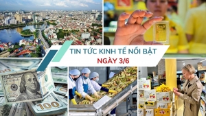 Tin tức kinh tế ngày 3/6: Vải thiều Việt Nam "cập bến" thị trường Pháp