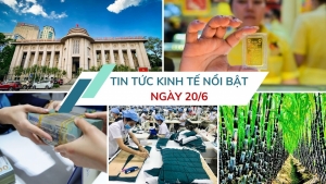 Tin tức kinh tế ngày 20/6: NHNN sắp xếp 63 chi nhánh tỉnh xuống còn 15 chi nhánh khu vực