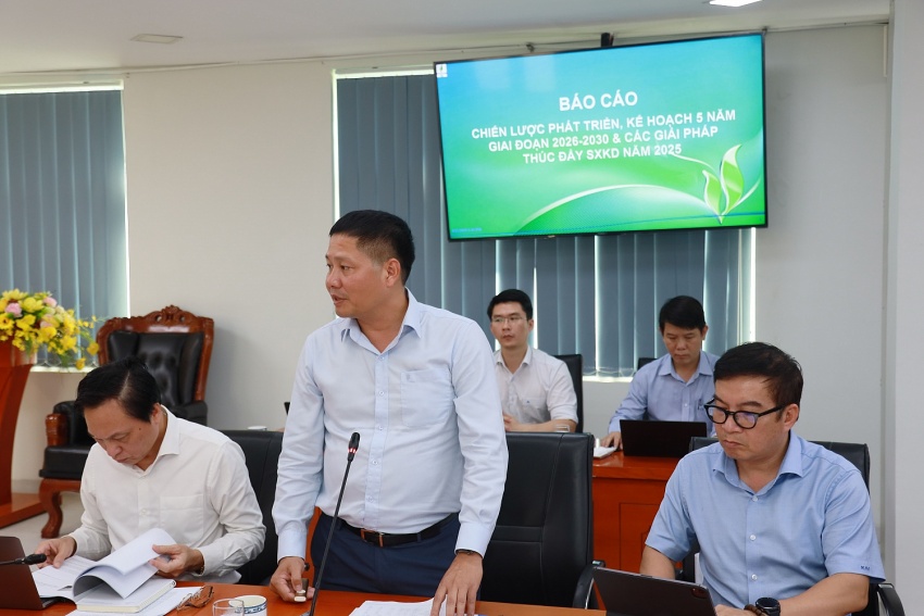 BSR accelerates strategic breakthroughs for green and sustainable development